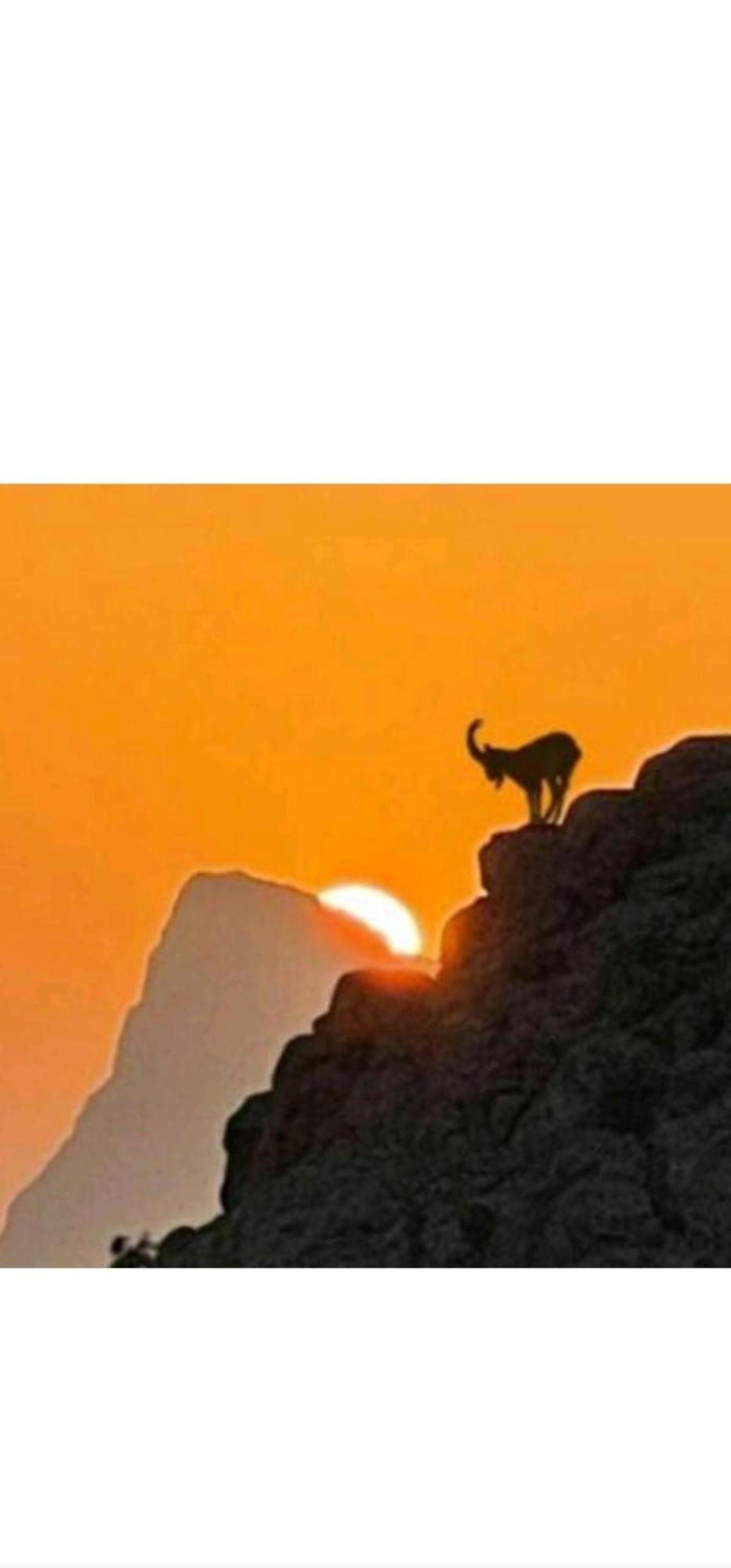Dar Sawda جبل شمس Jabal Shams Sunset Houseヴィラ エクステリア 写真